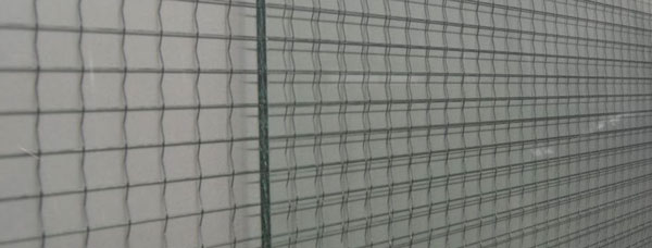 铁线玻璃销售